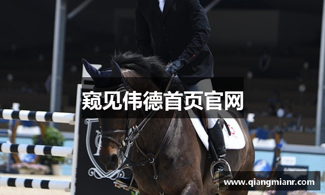 窥见伟德首页官网